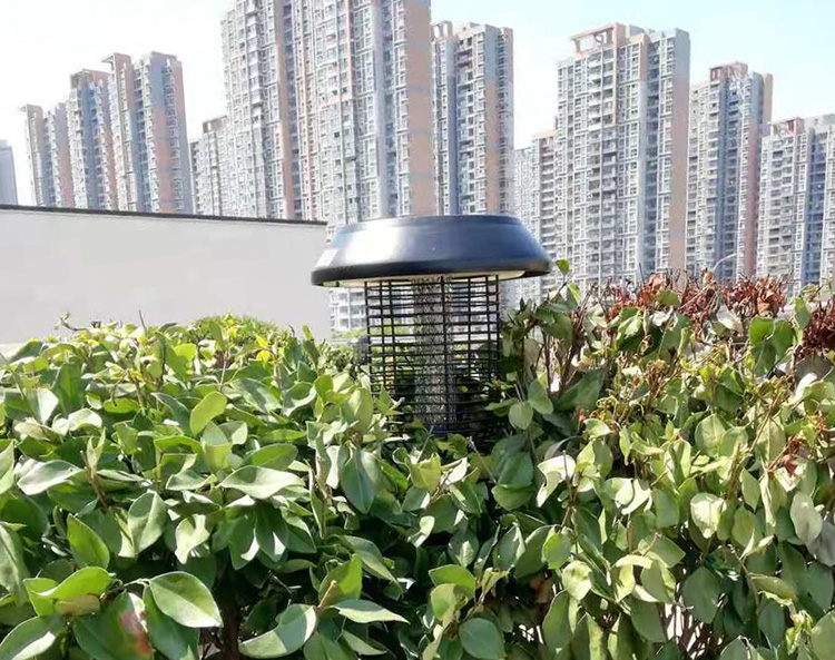 公園滅蚊燈的五大特點，不再被蚊子困擾