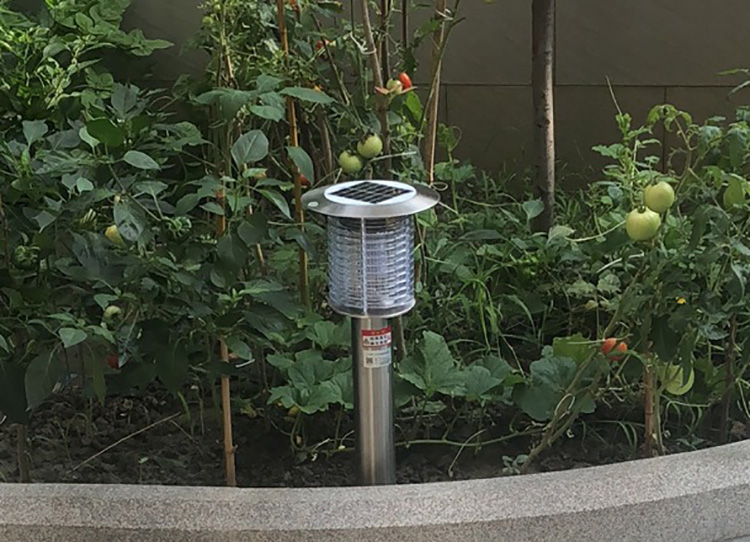 室外滅蚊蟲燈的工作原理詳解，了解如何驅(qū)趕蚊蟲