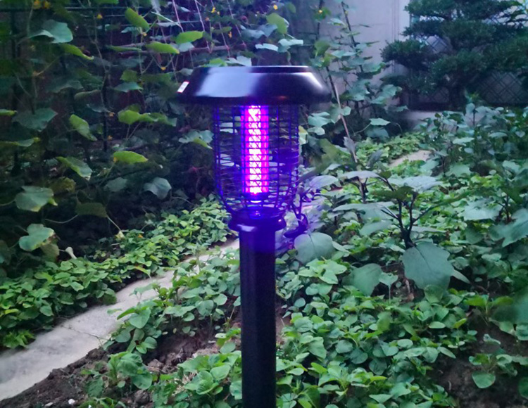 滅蚊燈對(duì)植物花卉有影響嗎